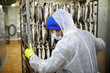 © pressmaster - Young fish factory staff in uniform pushing cart with fresh mackerels on wires