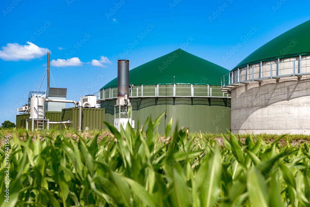 Biogasanlage - 3136 - obrazy, fototapety, plakaty 