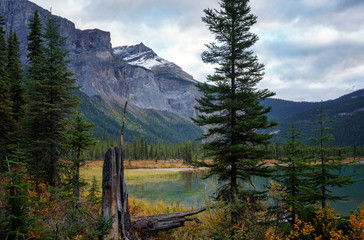 Wall Mural - Autumn Hiking around Emerald Lake in Yoho National Park