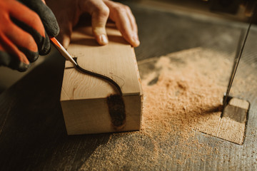 Wall Mural - carpenter works with manual and electric equipment