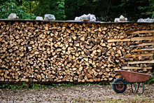 Pile Of Wood Logs With Wheelbarrow, Front View Of Firewoods