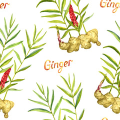 Ginger growing plant with red flower and root with inscription, seamless pattern design, hand painted watercolor illustration, white background