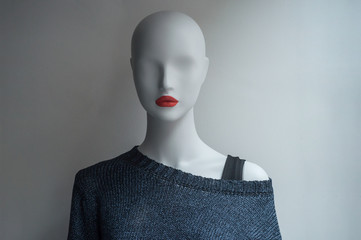 Wall Mural - pullover en laine sur mannequin de vitrine