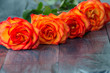 beautiful roses on a wooden background