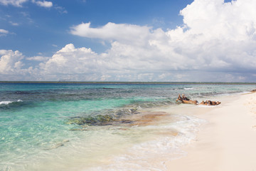 beautiful seascape and gentle sea wave