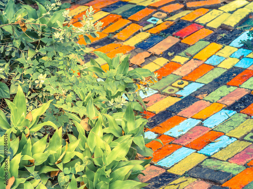 Cross Processed Vintage Tone Multicolored Tiles Floor Pattern And Green Plant Background Stock Photo Adobe Stock
