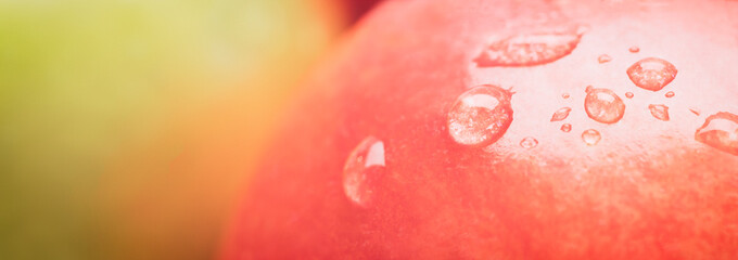 Poster - Web banner red wet apple with big droplet, macro shot