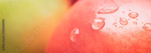 Cuadros en Lienzo Web banner red wet apple with big droplet, macro shot