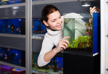 Wall Mural - Girl with interest looking at small fry fish in aquarium with seaweed in aquarium shop