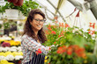 Charming cute curly florist female worker standing in front of flowers and pots row in the greenhouse and looking at the camera.