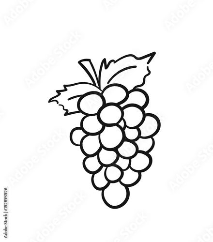 Fotomural Bunch of grapes with leaf sketch icon for web, mobile and infographics