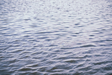 Poster - Landscape lake. Texture of water. The lake is at dawn. The mouth