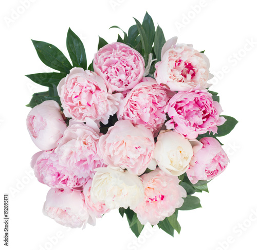 Fresh peony flowers