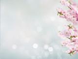 Fototapeta Desenie - Blossoming white tree Flowers