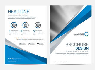 Wall Mural - brochure template flyer design vector background