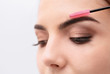 © Africa Studio - Young woman correcting shape of eyebrows, closeup