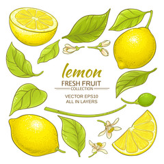 Wall Mural - lemon elements set