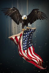 Wall Mural - American Bald Eagle flying with Flag.