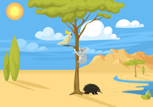 Australia Wild Background Landscape Animals Cartoon Popular Nature Flat Style Australian Native Forest Vector Illustration.