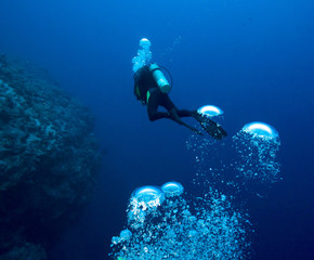 Wall Mural - Diver and bubbles.