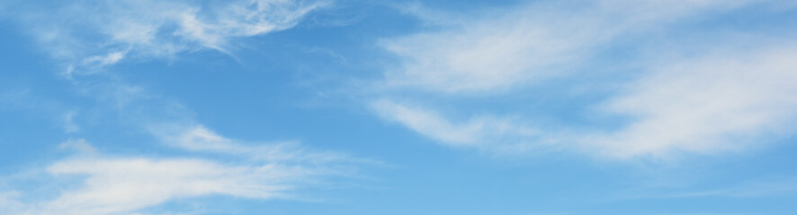 Wall Mural - white clouds in sky