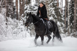 Fototapeta Konie - Black Horse running in snow on Winter background