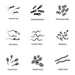 © anatolir - Pathogenic microorganism icons set. Simple set of 9 pathogenic microorganism vector icons for web isolated on white background