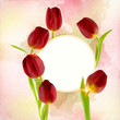 beautiful fresh tulips decorated on a free field can be used as background or as an invitation card free space for your text