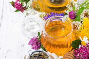 Wall Mural - fresh flower honey, tea and ingredients on white background, closeup