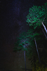 Wall Mural - landscape with stars over tree. night sky with stars and tree. long exposure photograph.