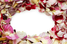 Frame Of Homemade Dried Rose Petals