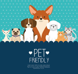 dogs and cats pets friendly vector illustration design