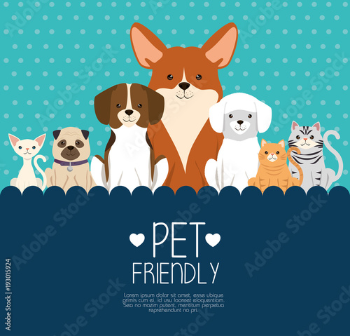 dogs and cats pets friendly vector illustration design Poster