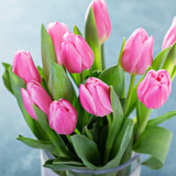 Fototapeta Tulipany - Pink tulips in a glass vase