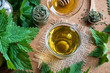 © Madeleine Steinbach - A cup of nettle tea with fresh and dry nettles
