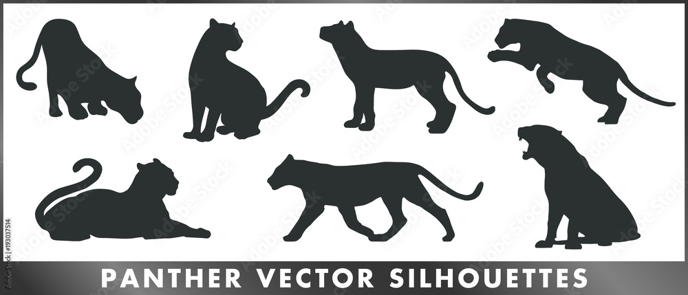 Panther vector silhouettes - obrazy, fototapety, plakaty 