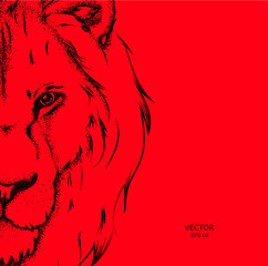 portrait of a lion. can be used for printing on t-shirts, flyers and stuff.