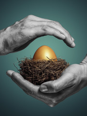 Female hands carefully hold the nest with a golden egg. The concept of saving and increasing savings.