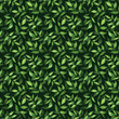 Seamless pattern with green fresh leaves on dark background