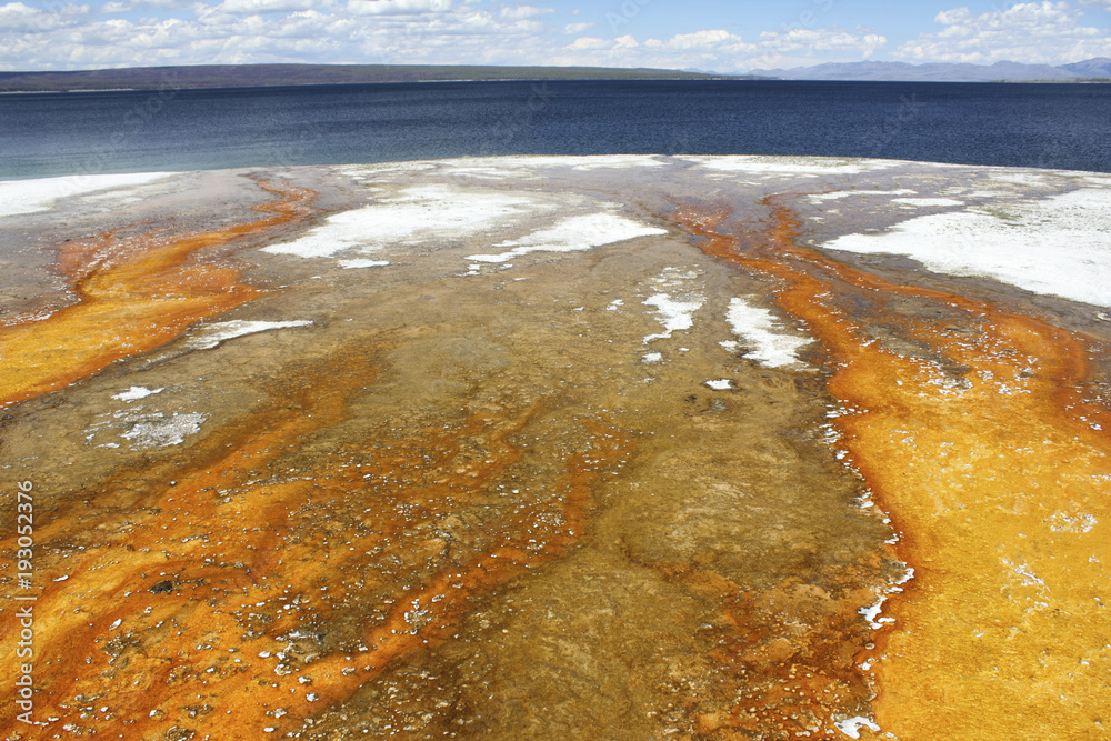 Bacterial mats below Black Pool, stretching toward Yellowstone Lake, Yellowstone National Park, Wyoming, USA - obrazy, fototapety, plakaty 