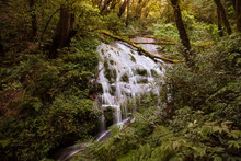  Waterfall In Kew Mae Pan Nature Trail,Doi Inthanon National Park , Chiang Mai
,Thailand 