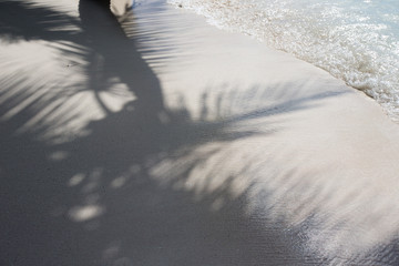 Wall Mural - shadow from palm leaves on white sand beach