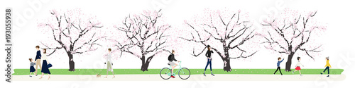 日本の春 桜並木を歩く人達のイラスト Adobe Stock でこのストックベクターを購入して 類似のベクターをさらに検索 Adobe Stock 日本の春 桜並木を歩く人達のイラスト Adobe Stock でこのストックベクターを購入して 類似のベクターをさらに検索 Adobe Stock