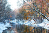 Fototapeta Na ścianę - Scenic view of the river and trees in winter
