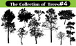 tree silhouettes on white background. Vector illustration.
