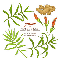 Wall Mural - ginger elements set