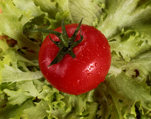 red juicy tomatoes with lettuce leaves on the table