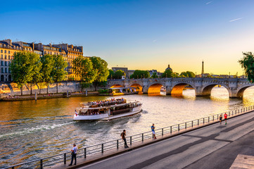 Fototapete - Pont Neuf is the oldest bridge across the river Seine in Paris, France. It is one of the symbols of Paris.