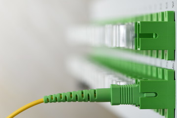 optical distribution panel with connected patch cord cable