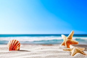 Poster - Summer beach and shells with blurred blue sea and sky 